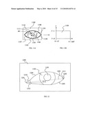 Apparatus and method for two eye imaging for iris identification diagram and image