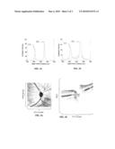 VARIABLE RESOLUTION OPTICAL COHERENCE TOMOGRAPHY SCANNER AND METHOD FOR USING SAME diagram and image