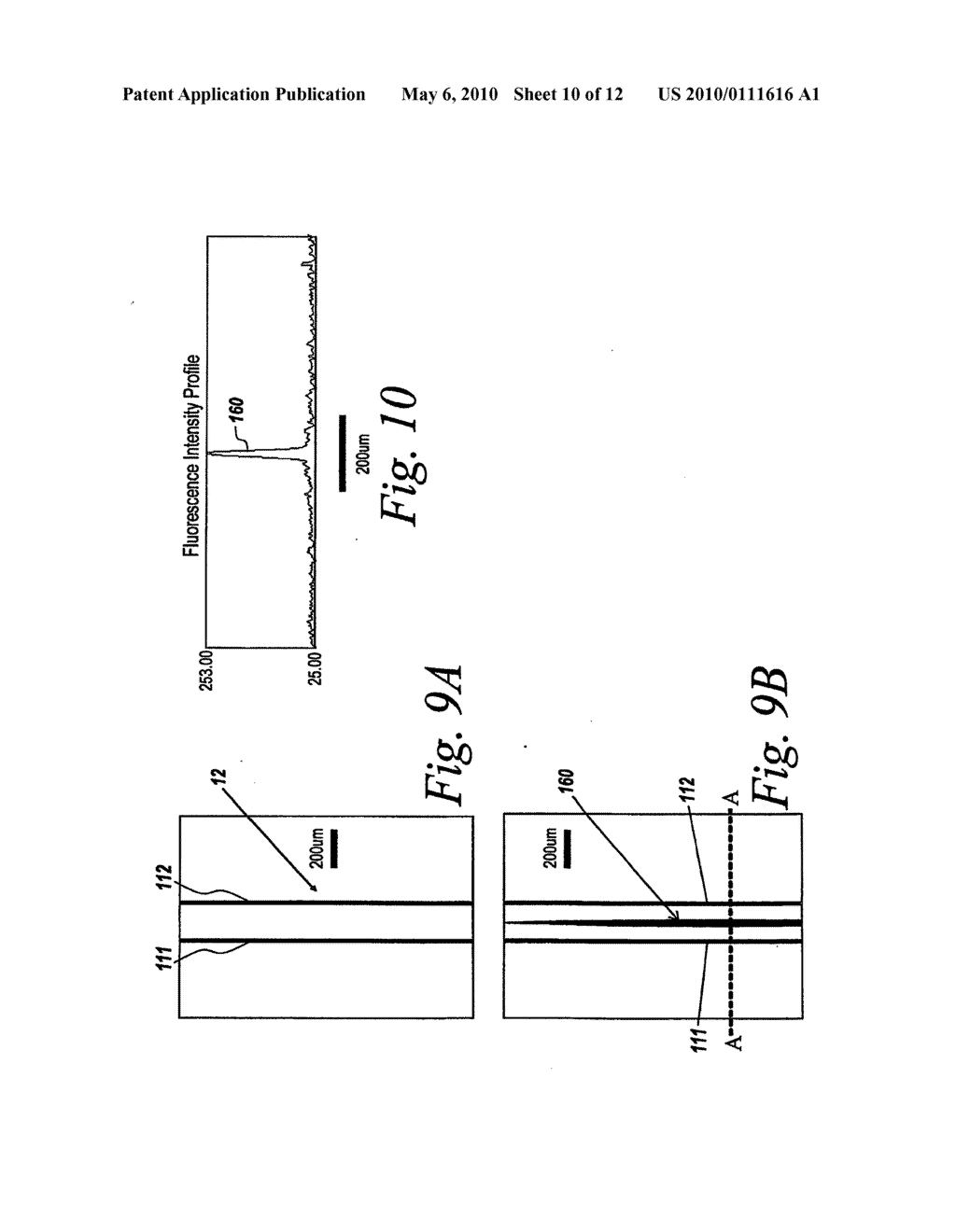 Multilayer Hydrodynamic Sheath Flow Structure - diagram, schematic, and image 11