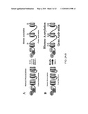 Induction of Renal Cells for Treatment of Kidney Disease diagram and image