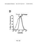 Induction of Renal Cells for Treatment of Kidney Disease diagram and image