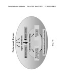 Induction of Renal Cells for Treatment of Kidney Disease diagram and image