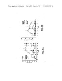 Compositions Comprising Actinidia and Methods of Use Thereof diagram and image