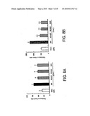 Compositions Comprising Actinidia and Methods of Use Thereof diagram and image