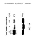 Methods and kits for diagnosis tumorgenicity diagram and image