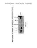 Methods and kits for diagnosis tumorgenicity diagram and image