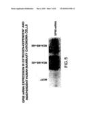 Methods and kits for diagnosis tumorgenicity diagram and image