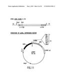 Methods and kits for diagnosis tumorgenicity diagram and image