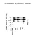 Methods and kits for diagnosis tumorgenicity diagram and image