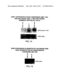 Methods and kits for diagnosis tumorgenicity diagram and image