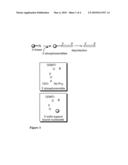 Modulation of Toll-Like Receptor 5 Expression by Antisense Oligonucleotides diagram and image