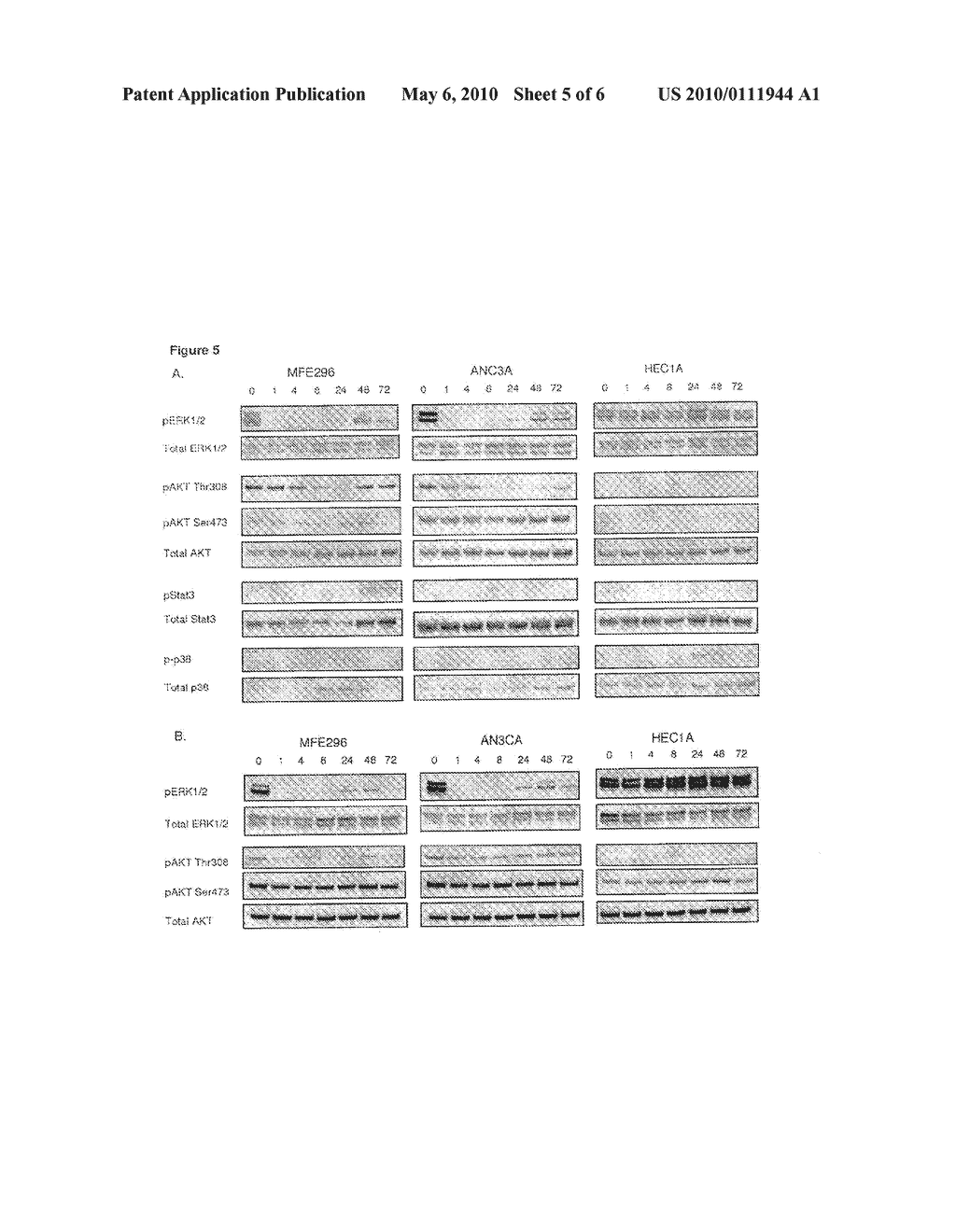 METHOD OF DIAGNOSING, CLASSIFYING AND TREATING ENDOMETRIAL CANCER AND PRECANCER - diagram, schematic, and image 06