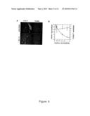 PLEIOTROPHIN GROWTH FACTOR RECEPTOR FOR THE TREATMENT OF PROLIFERATIVE, VASCULAR AND NEUROLOGICAL DISORDERS diagram and image