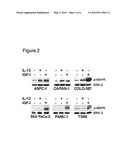 IL-4 RECEPTOR AND IL-13 AS PROGNOSTIC MARKERS FOR COLON AND PANCREAS TUMORS diagram and image