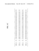 ANTIBODIES DIRECTED TO THE DELETION MUTANTS OF EPIDERMAL GROWTH FACTOR RECEPTOR AND USES THEREOF diagram and image