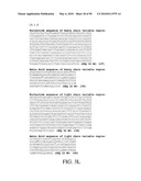 ANTIBODIES DIRECTED TO THE DELETION MUTANTS OF EPIDERMAL GROWTH FACTOR RECEPTOR AND USES THEREOF diagram and image