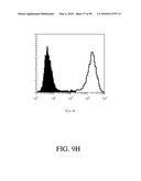 ANTIBODIES DIRECTED TO THE DELETION MUTANTS OF EPIDERMAL GROWTH FACTOR RECEPTOR AND USES THEREOF diagram and image