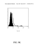 ANTIBODIES DIRECTED TO THE DELETION MUTANTS OF EPIDERMAL GROWTH FACTOR RECEPTOR AND USES THEREOF diagram and image