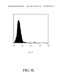 ANTIBODIES DIRECTED TO THE DELETION MUTANTS OF EPIDERMAL GROWTH FACTOR RECEPTOR AND USES THEREOF diagram and image