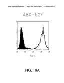 ANTIBODIES DIRECTED TO THE DELETION MUTANTS OF EPIDERMAL GROWTH FACTOR RECEPTOR AND USES THEREOF diagram and image