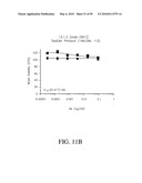 ANTIBODIES DIRECTED TO THE DELETION MUTANTS OF EPIDERMAL GROWTH FACTOR RECEPTOR AND USES THEREOF diagram and image