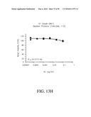 ANTIBODIES DIRECTED TO THE DELETION MUTANTS OF EPIDERMAL GROWTH FACTOR RECEPTOR AND USES THEREOF diagram and image