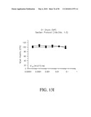 ANTIBODIES DIRECTED TO THE DELETION MUTANTS OF EPIDERMAL GROWTH FACTOR RECEPTOR AND USES THEREOF diagram and image