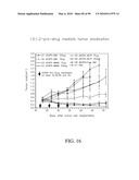 ANTIBODIES DIRECTED TO THE DELETION MUTANTS OF EPIDERMAL GROWTH FACTOR RECEPTOR AND USES THEREOF diagram and image