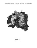 ANTIBODIES DIRECTED TO THE DELETION MUTANTS OF EPIDERMAL GROWTH FACTOR RECEPTOR AND USES THEREOF diagram and image