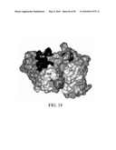 ANTIBODIES DIRECTED TO THE DELETION MUTANTS OF EPIDERMAL GROWTH FACTOR RECEPTOR AND USES THEREOF diagram and image