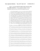 NUCLEIC ACID AND CORRESPONDING PROTEIN ENTITLED 193P1E1B USEFUL IN TREATMENT AND DETECTION OF CANCER diagram and image