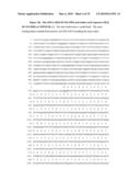 NUCLEIC ACID AND CORRESPONDING PROTEIN ENTITLED 193P1E1B USEFUL IN TREATMENT AND DETECTION OF CANCER diagram and image