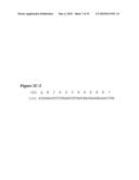 NUCLEIC ACID AND CORRESPONDING PROTEIN ENTITLED 193P1E1B USEFUL IN TREATMENT AND DETECTION OF CANCER diagram and image