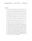 NUCLEIC ACID AND CORRESPONDING PROTEIN ENTITLED 193P1E1B USEFUL IN TREATMENT AND DETECTION OF CANCER diagram and image