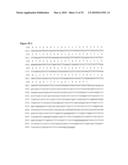 NUCLEIC ACID AND CORRESPONDING PROTEIN ENTITLED 193P1E1B USEFUL IN TREATMENT AND DETECTION OF CANCER diagram and image