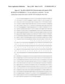 NUCLEIC ACID AND CORRESPONDING PROTEIN ENTITLED 193P1E1B USEFUL IN TREATMENT AND DETECTION OF CANCER diagram and image