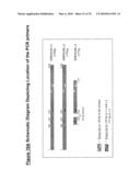 NUCLEIC ACID AND CORRESPONDING PROTEIN ENTITLED 193P1E1B USEFUL IN TREATMENT AND DETECTION OF CANCER diagram and image