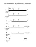 NUCLEIC ACID AND CORRESPONDING PROTEIN ENTITLED 193P1E1B USEFUL IN TREATMENT AND DETECTION OF CANCER diagram and image