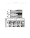 Use of conditional plasmodium strains lacking an essential gene in malaria vaccination diagram and image