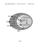 Use of conditional plasmodium strains lacking an essential gene in malaria vaccination diagram and image