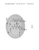 Use of conditional plasmodium strains lacking an essential gene in malaria vaccination diagram and image