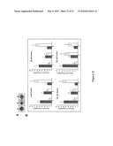 Use of conditional plasmodium strains lacking an essential gene in malaria vaccination diagram and image