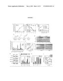 MODULATION OF IMMUNE RESPONSES diagram and image