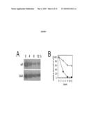 MODULATION OF IMMUNE RESPONSES diagram and image