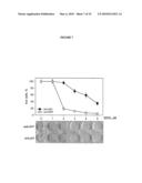 MODULATION OF IMMUNE RESPONSES diagram and image