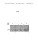 MODULATION OF IMMUNE RESPONSES diagram and image