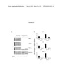 MODULATION OF IMMUNE RESPONSES diagram and image