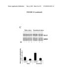 MODULATION OF IMMUNE RESPONSES diagram and image