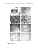 METHODS OF TREATING NEUROLOGICAL CONDITIONS WITH HEMATOPOEITIC GROWTH FACTORS diagram and image