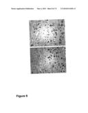 METHODS OF TREATING NEUROLOGICAL CONDITIONS WITH HEMATOPOEITIC GROWTH FACTORS diagram and image